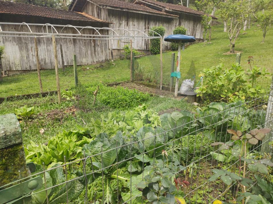 Fazenda à venda com 3 quartos, 23383m² - Foto 26