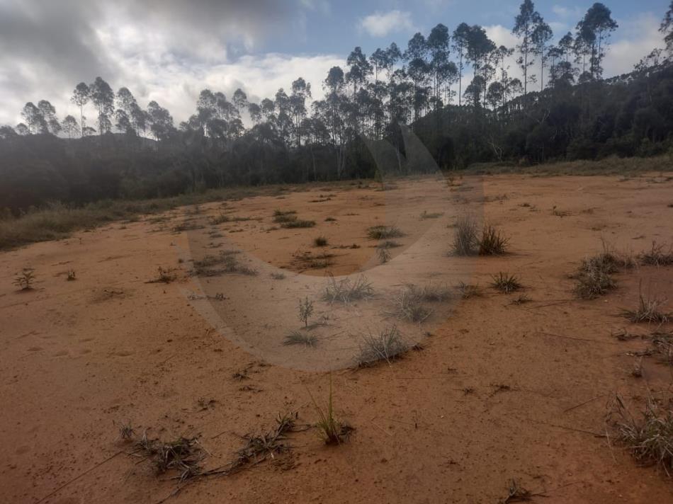 Fazenda à venda, 20000m² - Foto 3