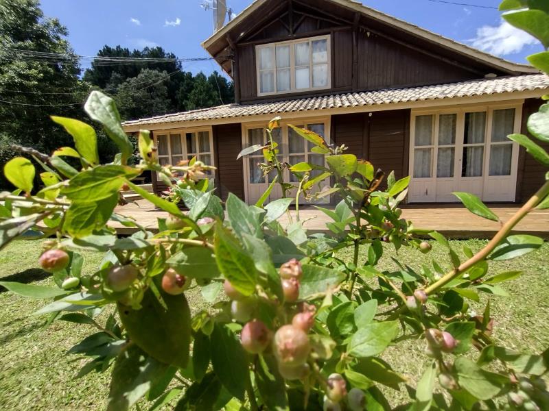 Fazenda à venda com 3 quartos, 320000m² - Foto 6