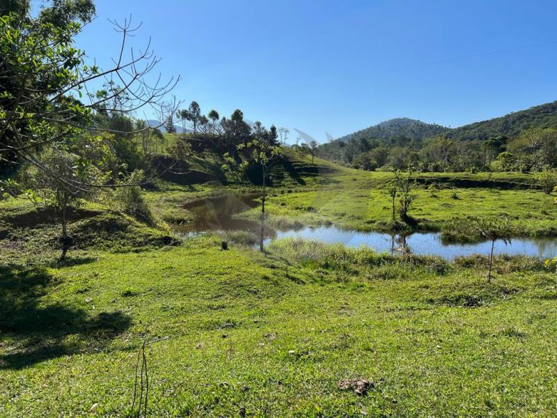 Terreno à venda com 2 quartos, 142163m² - Foto 6