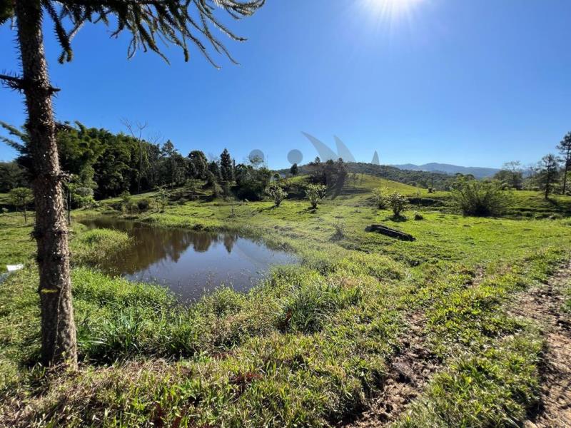 Terreno à venda com 2 quartos, 142163m² - Foto 5