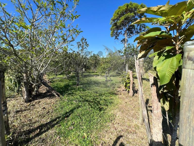 Terreno à venda com 2 quartos, 142163m² - Foto 25