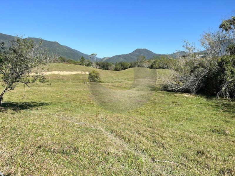 Terreno à venda com 2 quartos, 142163m² - Foto 3