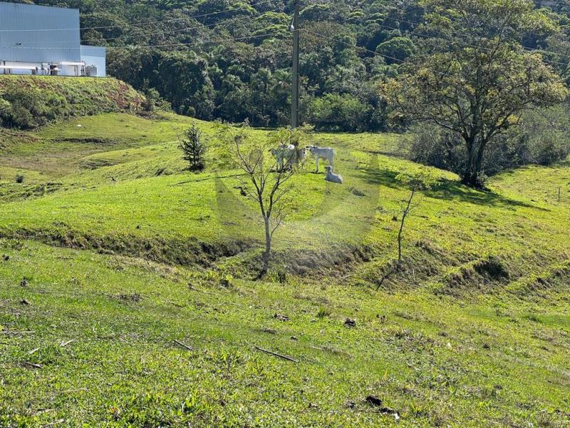 Terreno à venda com 2 quartos, 142163m² - Foto 26