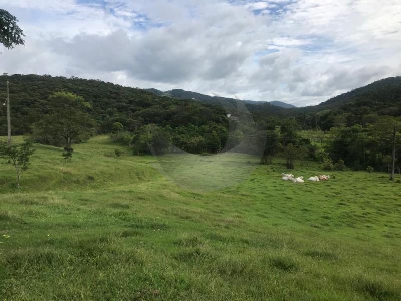 Terreno à venda com 2 quartos, 142163m² - Foto 12