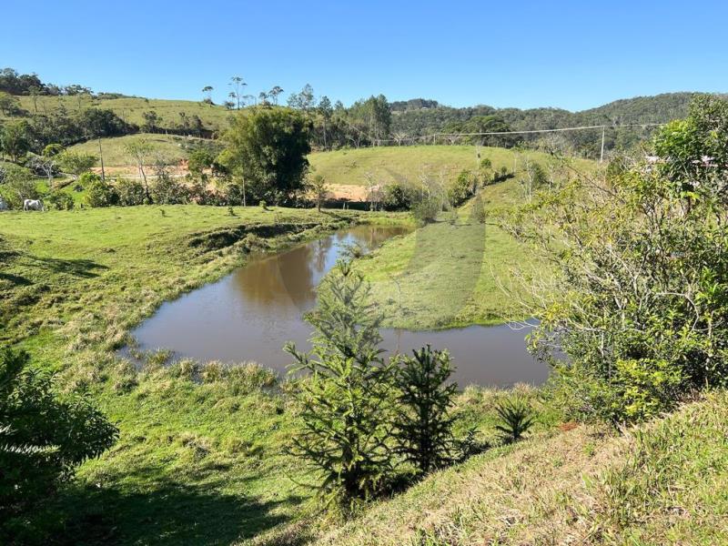 Terreno à venda com 2 quartos, 142163m² - Foto 7