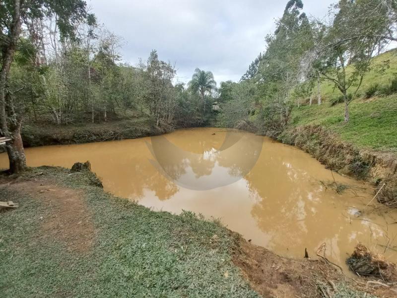 Fazenda à venda com 4 quartos, 300m² - Foto 40