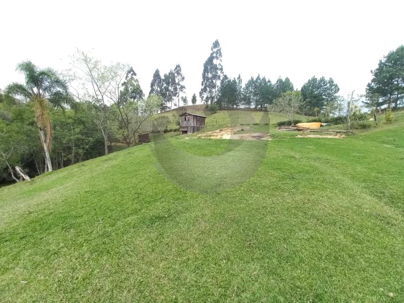 Fazenda à venda com 4 quartos, 300m² - Foto 45