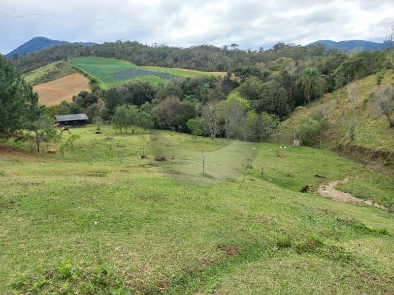 Fazenda à venda com 4 quartos, 300m² - Foto 46