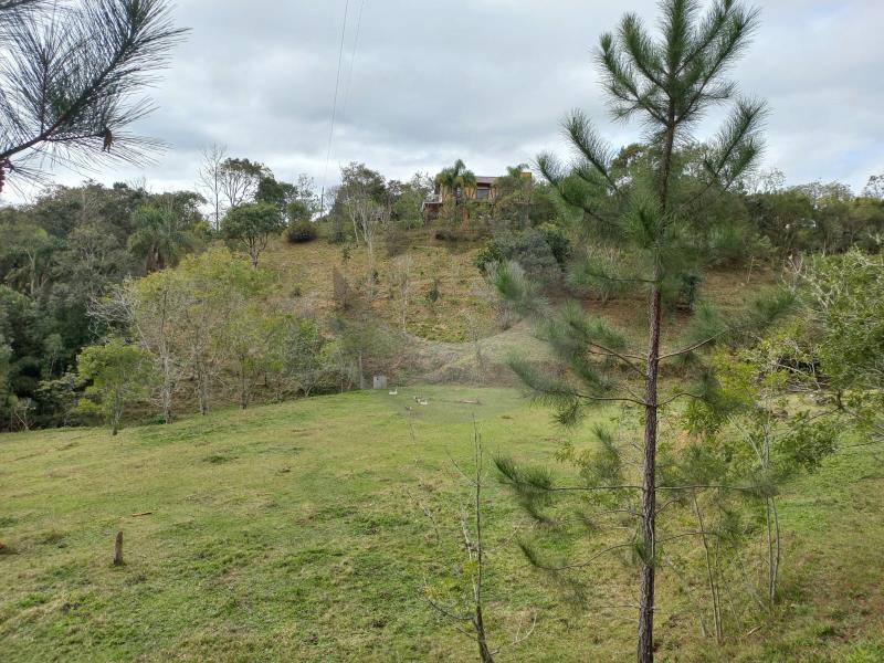 Fazenda à venda com 4 quartos, 300m² - Foto 43