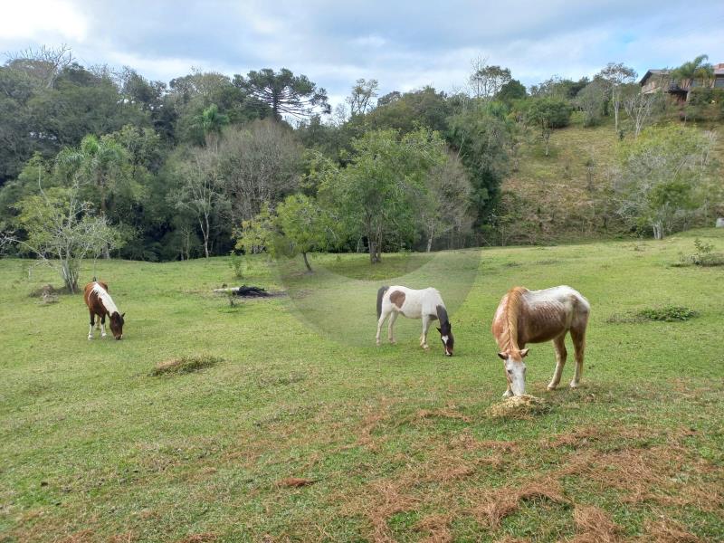 Fazenda à venda com 4 quartos, 300m² - Foto 47