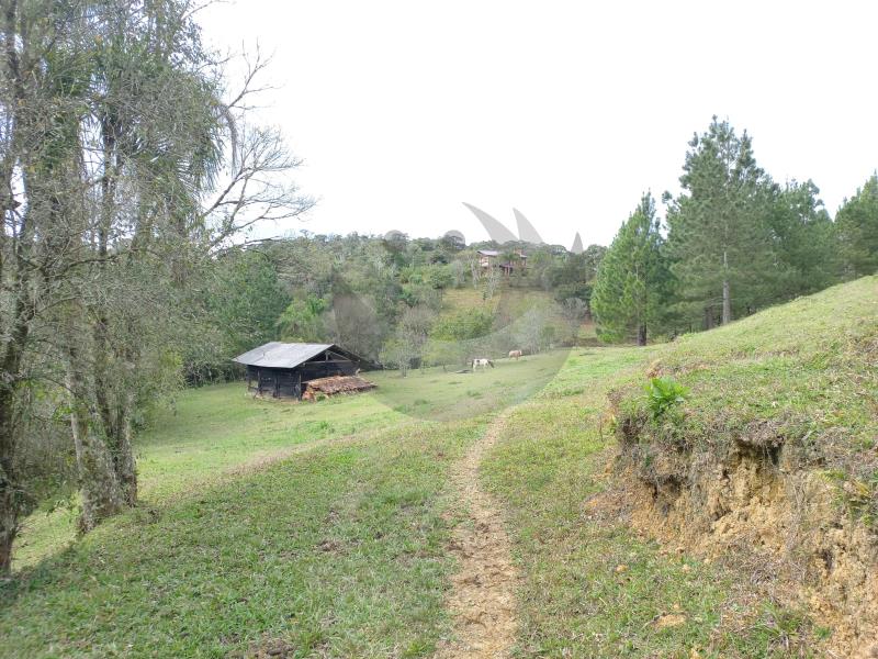 Fazenda à venda com 4 quartos, 300m² - Foto 42