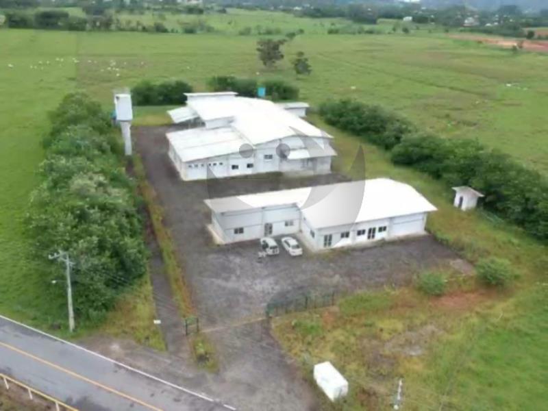 Depósito-Galpão-Armazém à venda, 30000m² - Foto 4