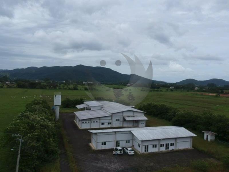 Depósito-Galpão-Armazém à venda, 30000m² - Foto 5