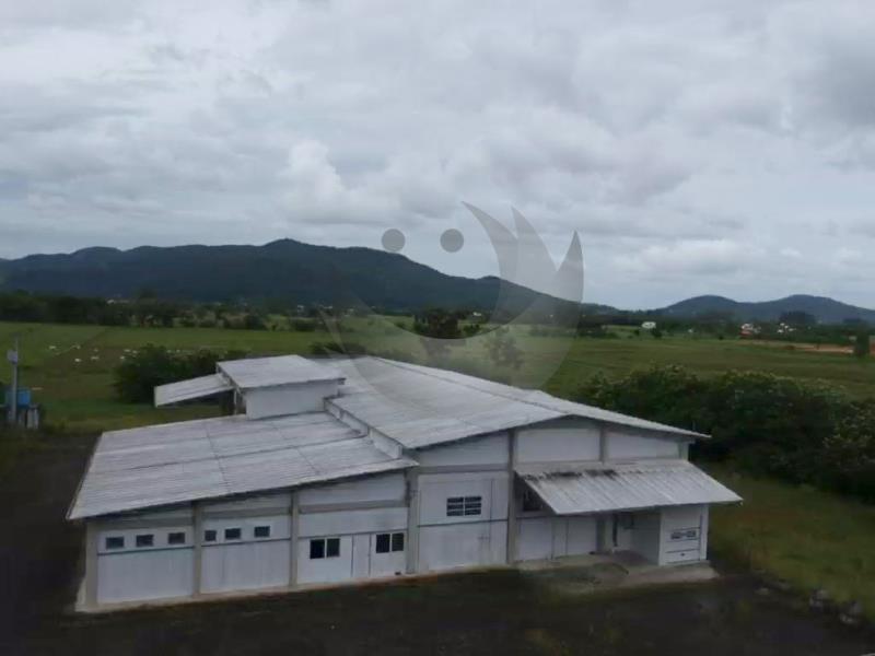 Depósito-Galpão-Armazém à venda, 30000m² - Foto 6