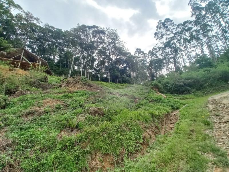 Terreno à venda, 1000m² - Foto 3