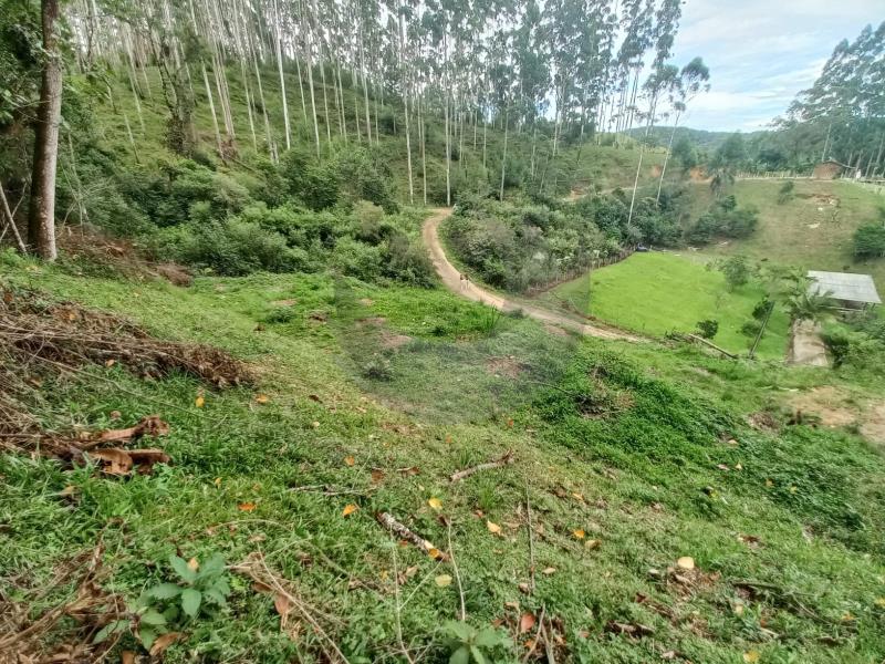 Terreno à venda, 1000m² - Foto 1