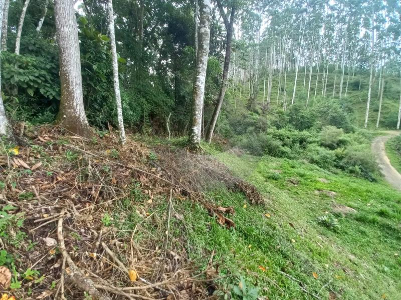 Terreno à venda, 1000m² - Foto 5