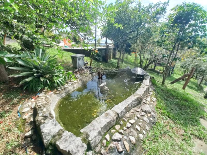 Fazenda à venda com 3 quartos, 5000m² - Foto 5