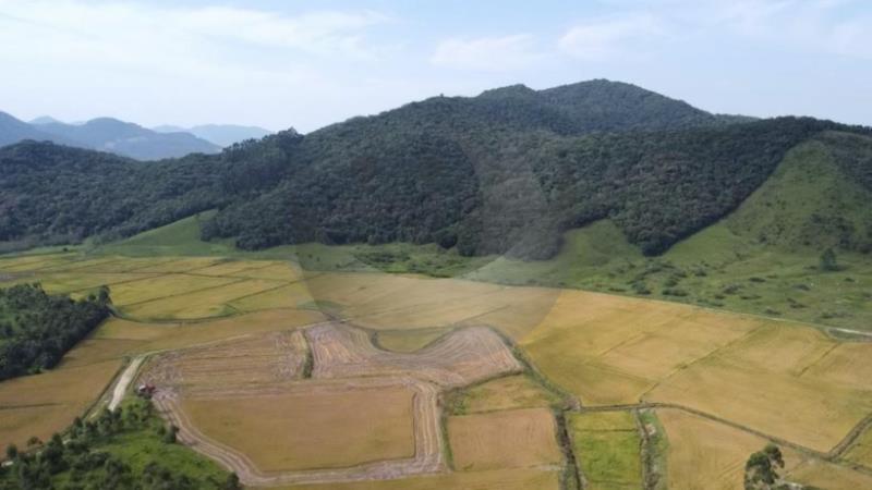 Fazenda à venda, 1680000m² - Foto 14