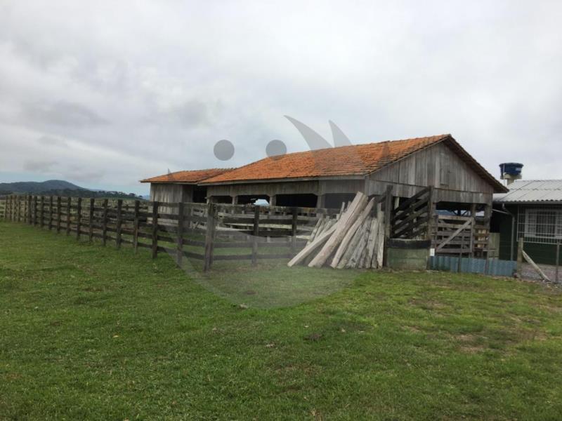 Fazenda à venda com 2 quartos, 1350000m² - Foto 21