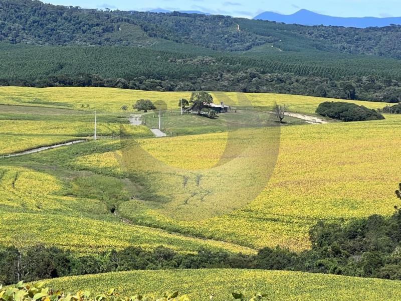 Fazenda à venda com 2 quartos, 1350000m² - Foto 9