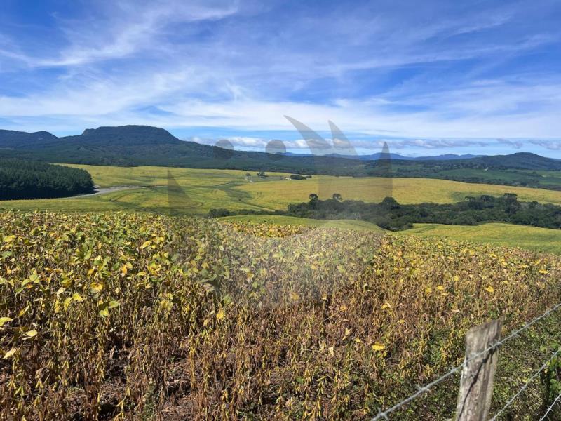 Fazenda à venda com 2 quartos, 1350000m² - Foto 19