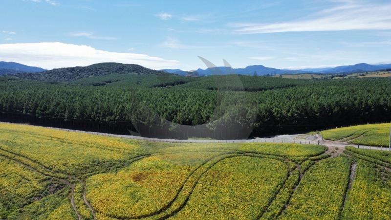 Fazenda à venda com 2 quartos, 1350000m² - Foto 15