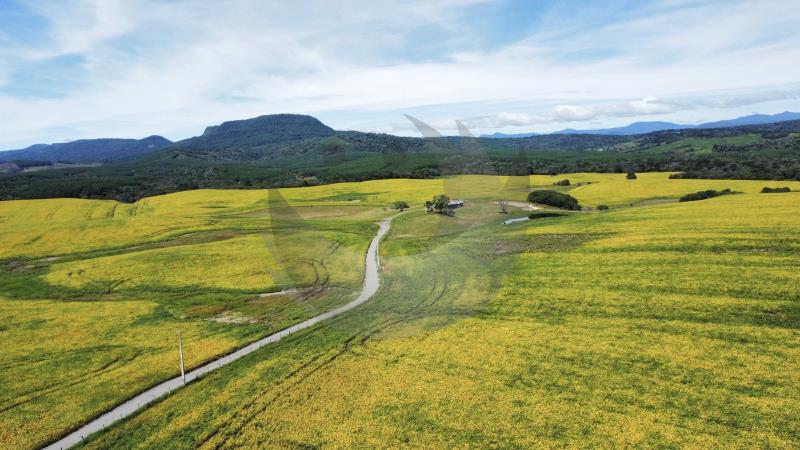 Fazenda à venda com 2 quartos, 1350000m² - Foto 12