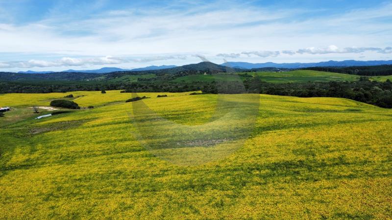 Fazenda à venda com 2 quartos, 1350000m² - Foto 16