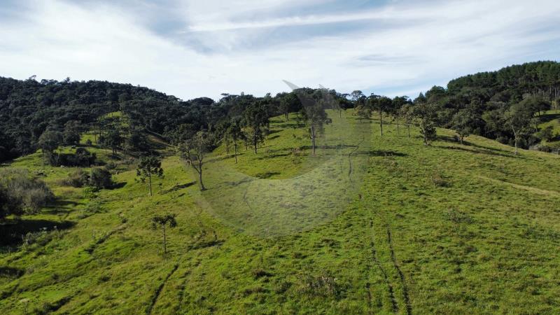 Fazenda à venda, 36m² - Foto 7