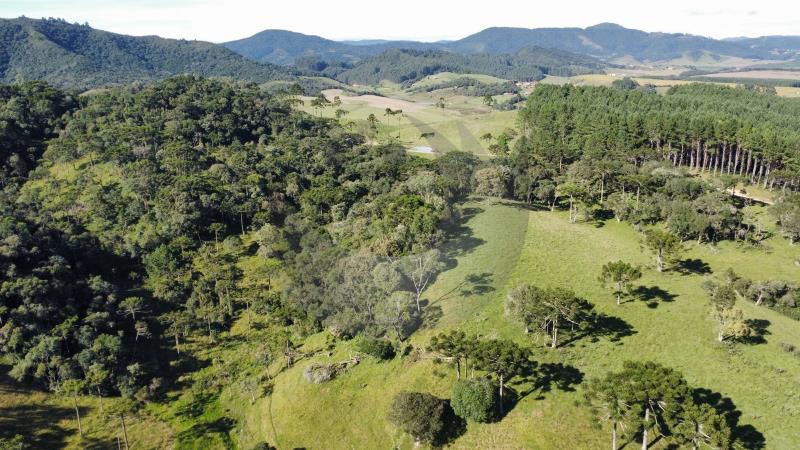 Fazenda à venda, 36m² - Foto 8