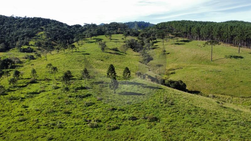 Fazenda à venda, 36m² - Foto 9