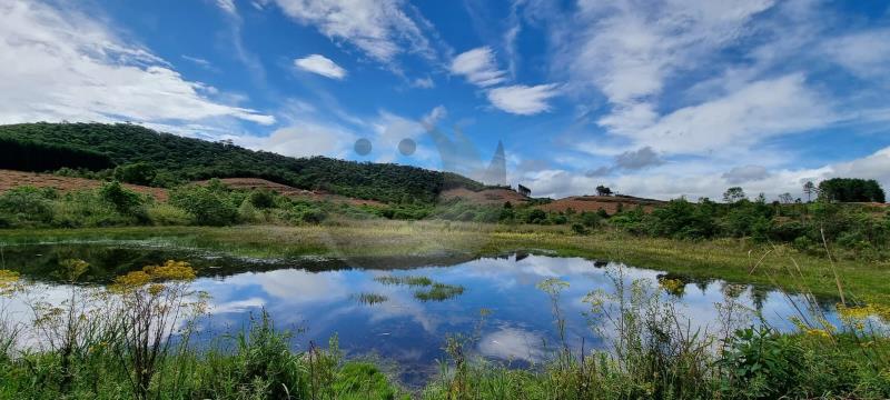 Fazenda à venda, 189m² - Foto 38