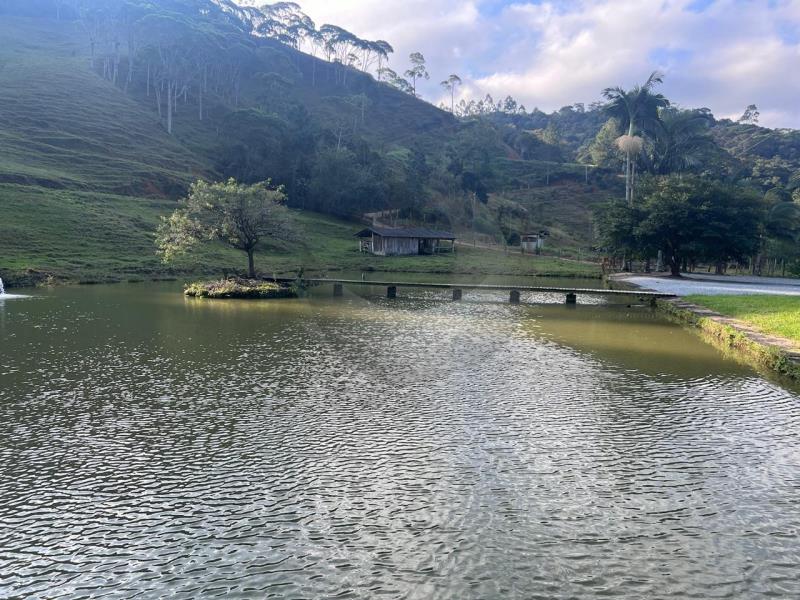 Fazenda à venda com 4 quartos, 30100m² - Foto 10