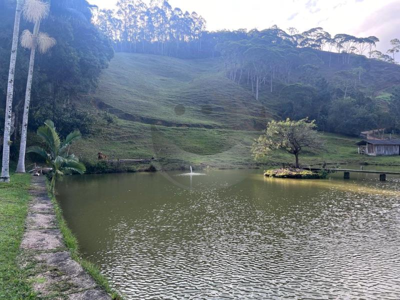 Fazenda à venda com 4 quartos, 30100m² - Foto 11