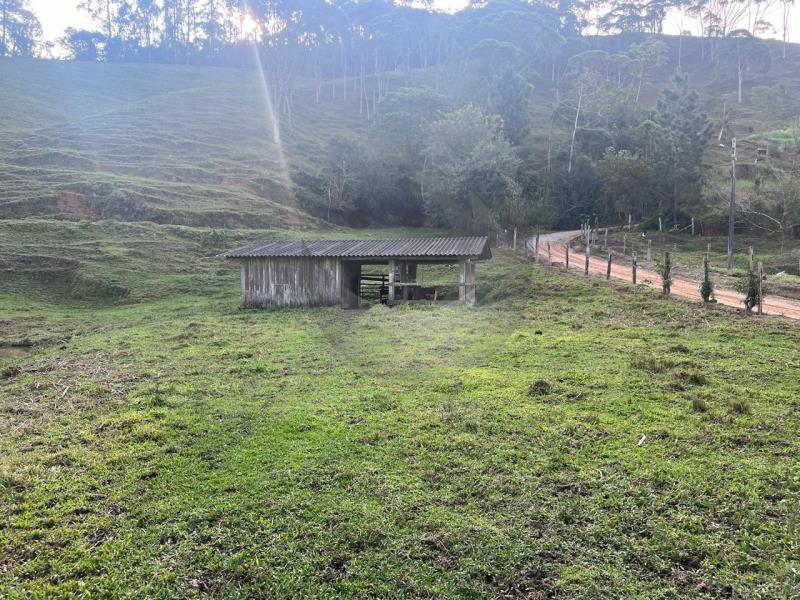 Fazenda à venda com 4 quartos, 30100m² - Foto 13