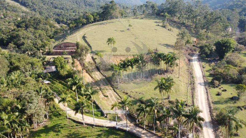 Fazenda à venda com 5 quartos - Foto 3