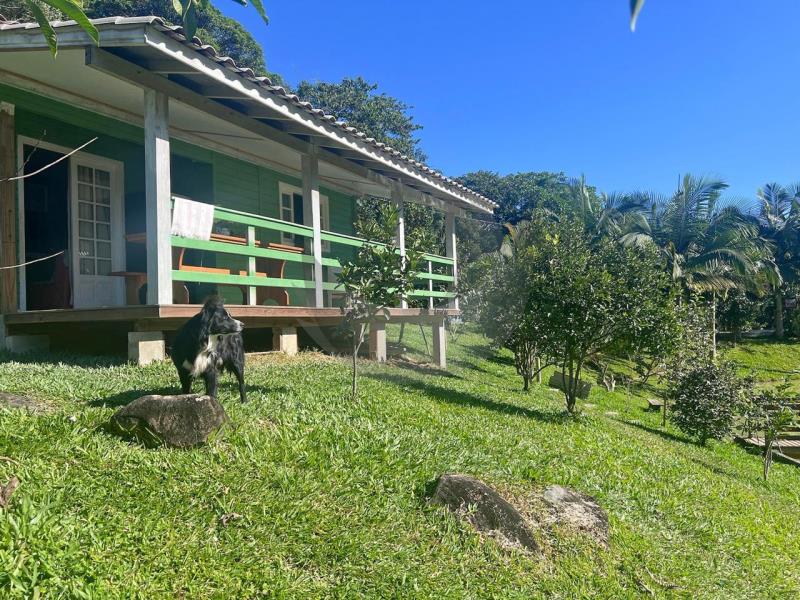 Fazenda à venda com 2 quartos, 1442m² - Foto 3