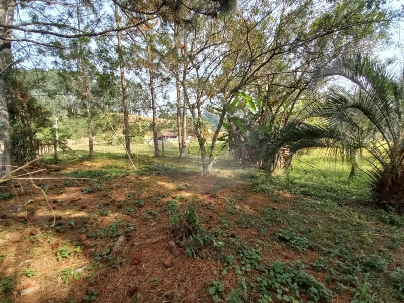 Fazenda à venda com 2 quartos, 3080m² - Foto 9