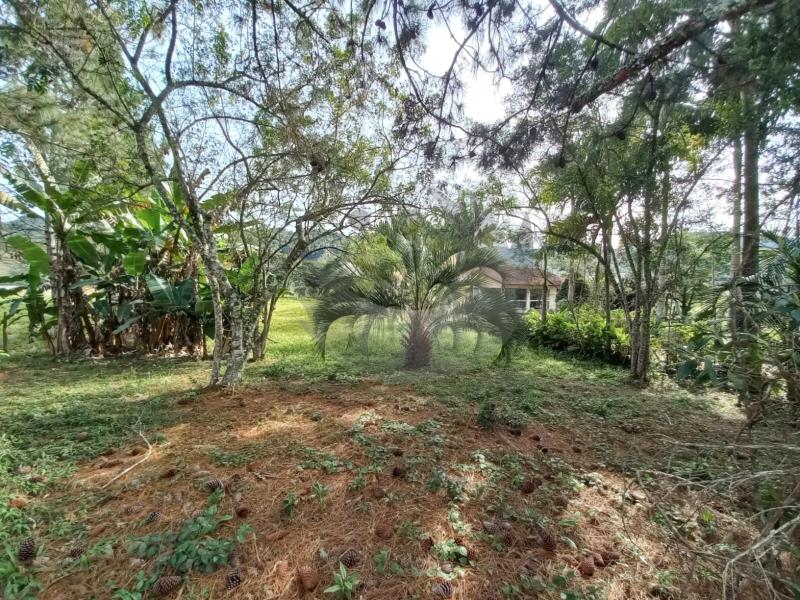 Fazenda à venda com 2 quartos, 3080m² - Foto 10