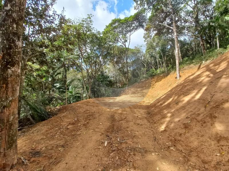 Fazenda à venda, 21000m² - Foto 4