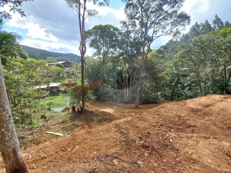 Fazenda à venda, 21000m² - Foto 6