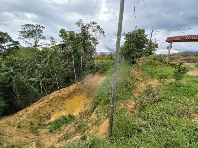 Fazenda à venda com 1 quarto, 2000m² - Foto 19