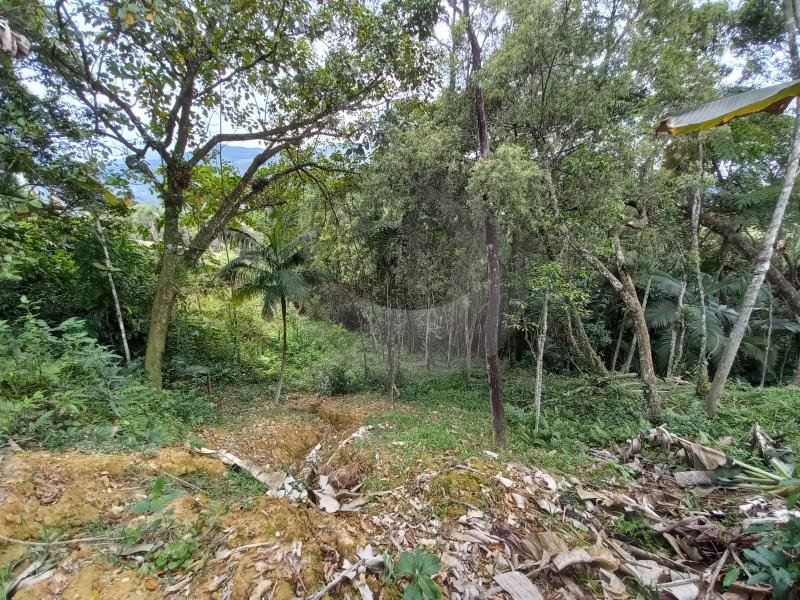 Fazenda à venda com 1 quarto, 2000m² - Foto 21