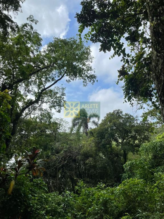 Terreno à venda, 1573 - Foto 8